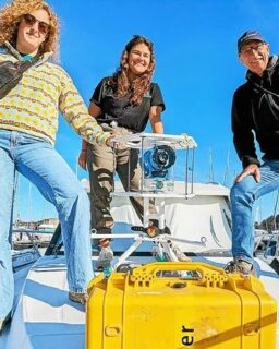 A l'occasion de la restitution de fin d'année du programme Objectif Plancton, organisée à la Station marine, revenons sur les synergies qui peuvent exister entre les projets de sciences participatives à Concarneau. 🔬🦠🧬

Mi-septembre, nous avons eu la chance de participer à la dernière journée de collecte d'Objectif Plancton sous une météo radieuse. Un des bateaux de la flotte a été utilisé pour le protocole d'observation sous-marine KOSMOS. 📷

Merci à Bertrand, plaisancier bénévole qui s'est prêté à l'expérimentation et a permis d'observer 4 nouvelles stations aux Glénan. Pour la première fois, nous avons pu filmer une petite roussette ! 🦈

Encore un grand merci aux organisateurs et participants d'Objectif Plancton ! 🙏

A l'année prochaine 👋

@konkarlab @ifremer_officiel @we_are_explore @station_marine_concarneau_mnhn