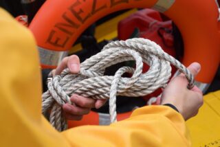 L'année 2024 en quelques images 📷 🐠 🐟

@konkarlab  @ifremer_officiel